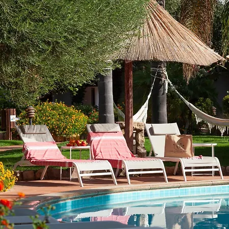 Nora Club & 4*